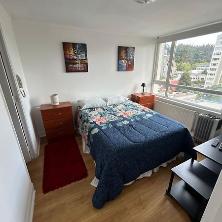 Apartmán Mirador Parque Concepción Exteriér fotografie