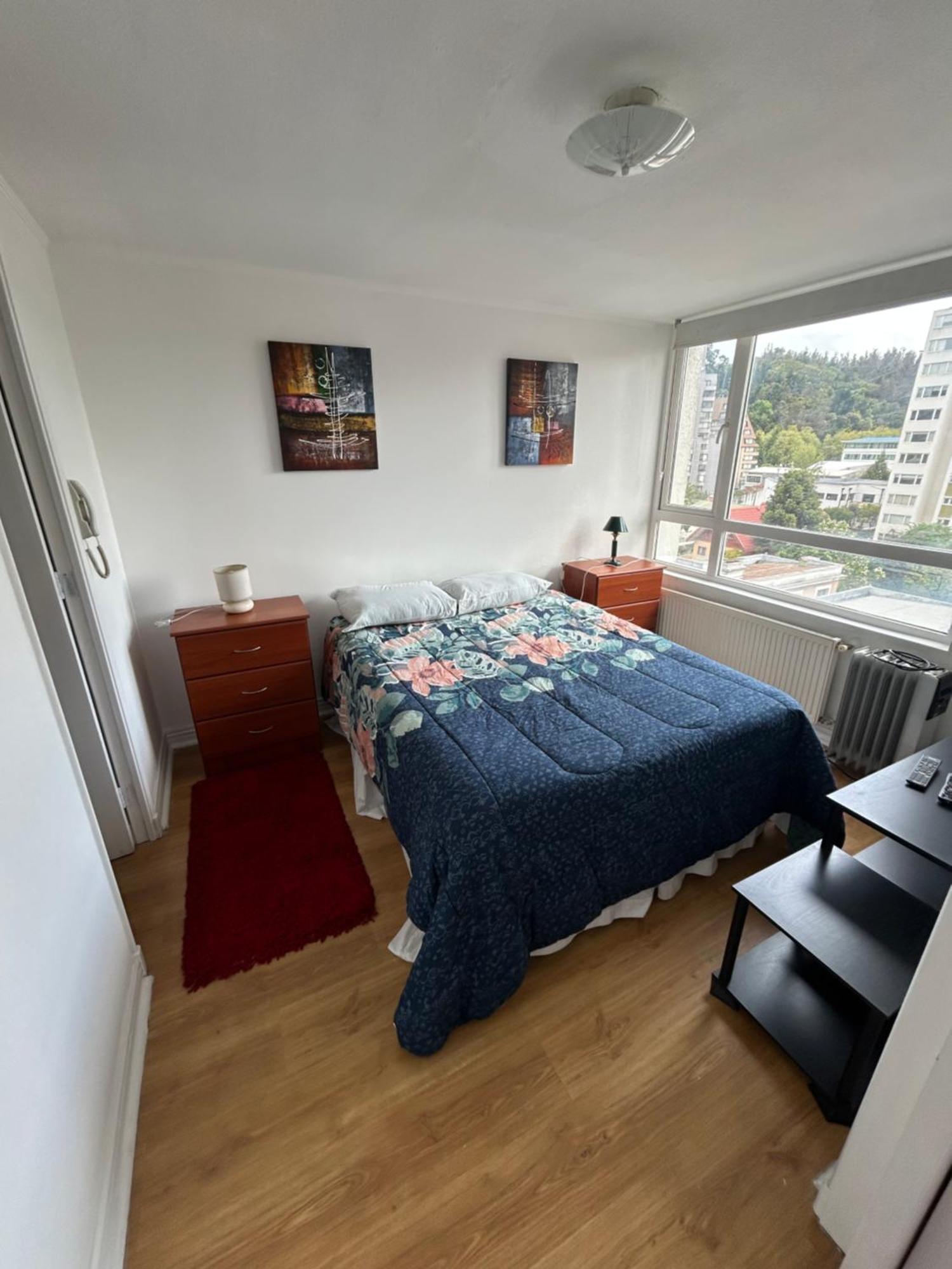 Apartmán Mirador Parque Concepción Exteriér fotografie